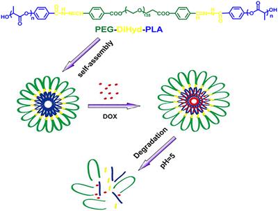 Hydrazone-Containing Triblock Copolymeric Micelles for pH-Controlled Drug Delivery